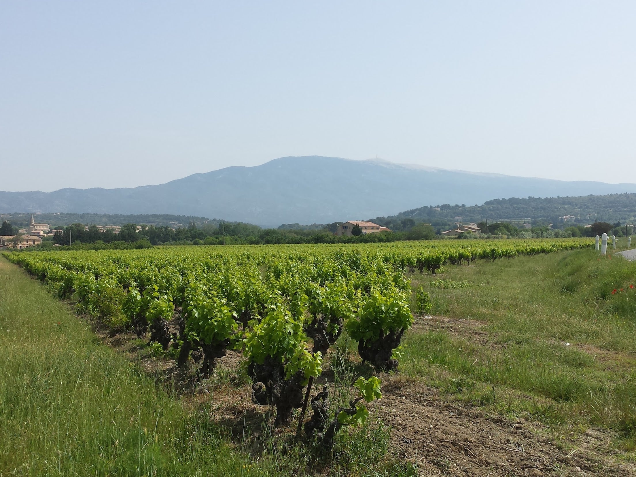 The complete guide to climbing Mont Ventoux