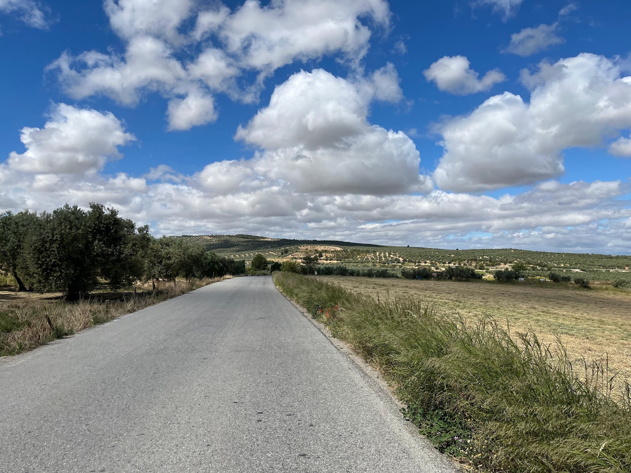 Warmup ride to La Malahá