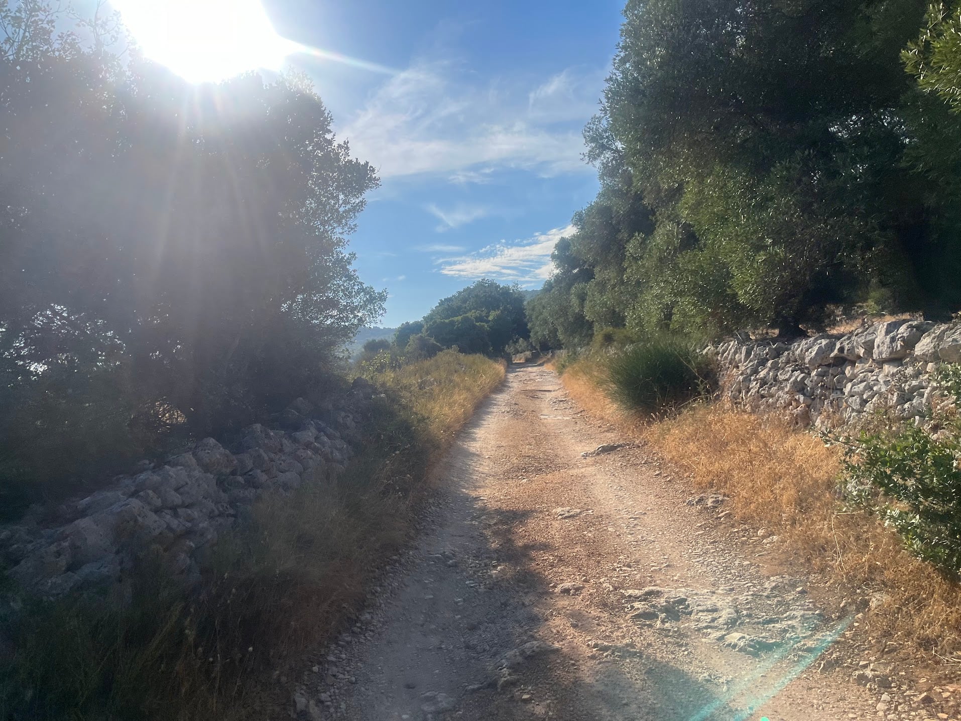 Dune Costiere run to the sea - Photo 3
