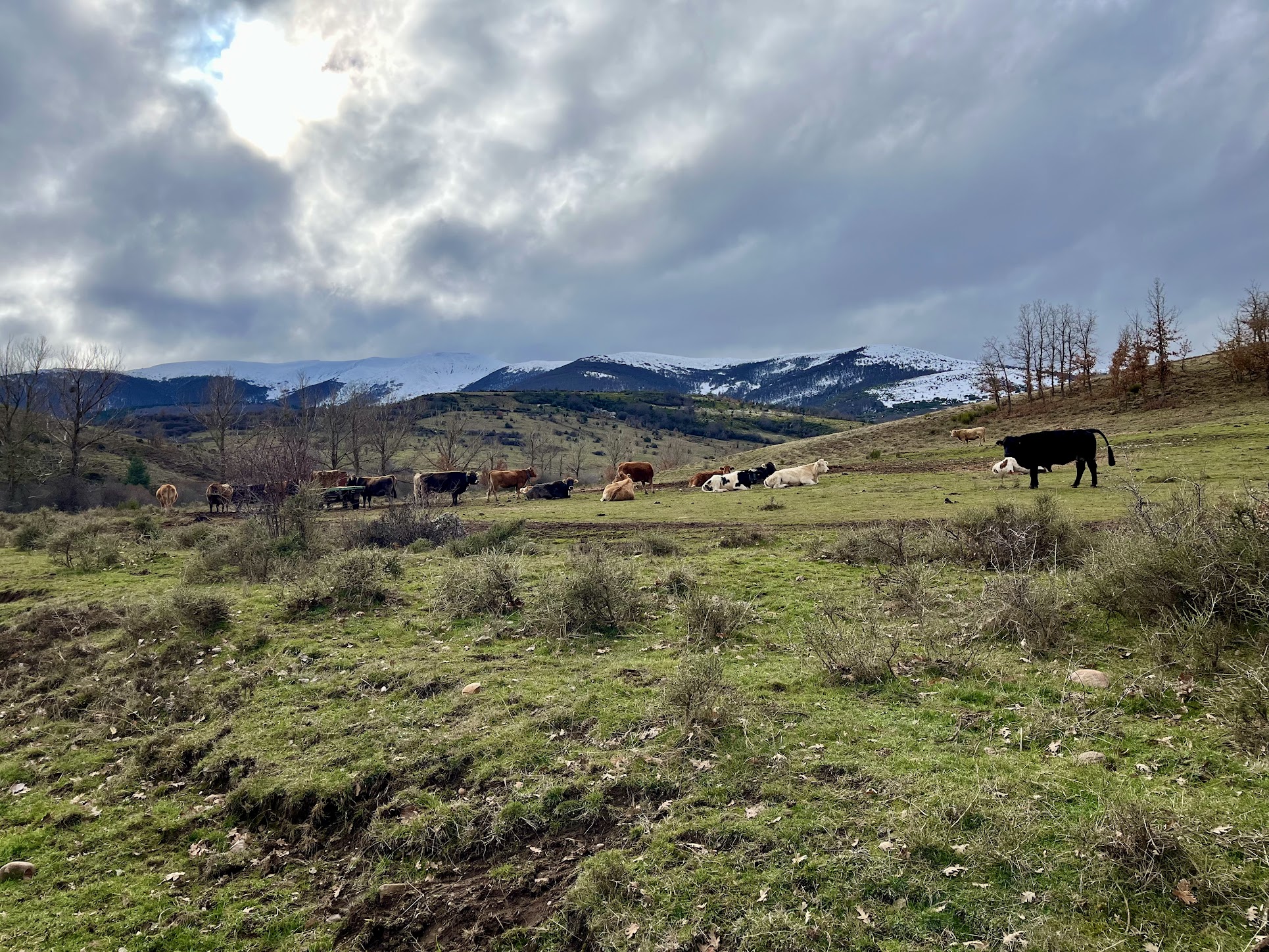 Vía Verde de la Sierra de la Demanda - Photo 1