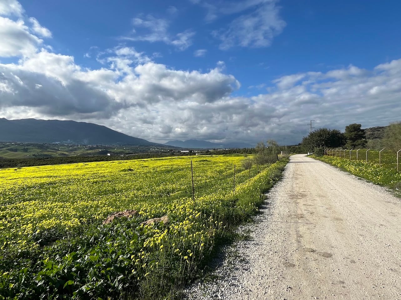 Gravel: Coín - Photo 5