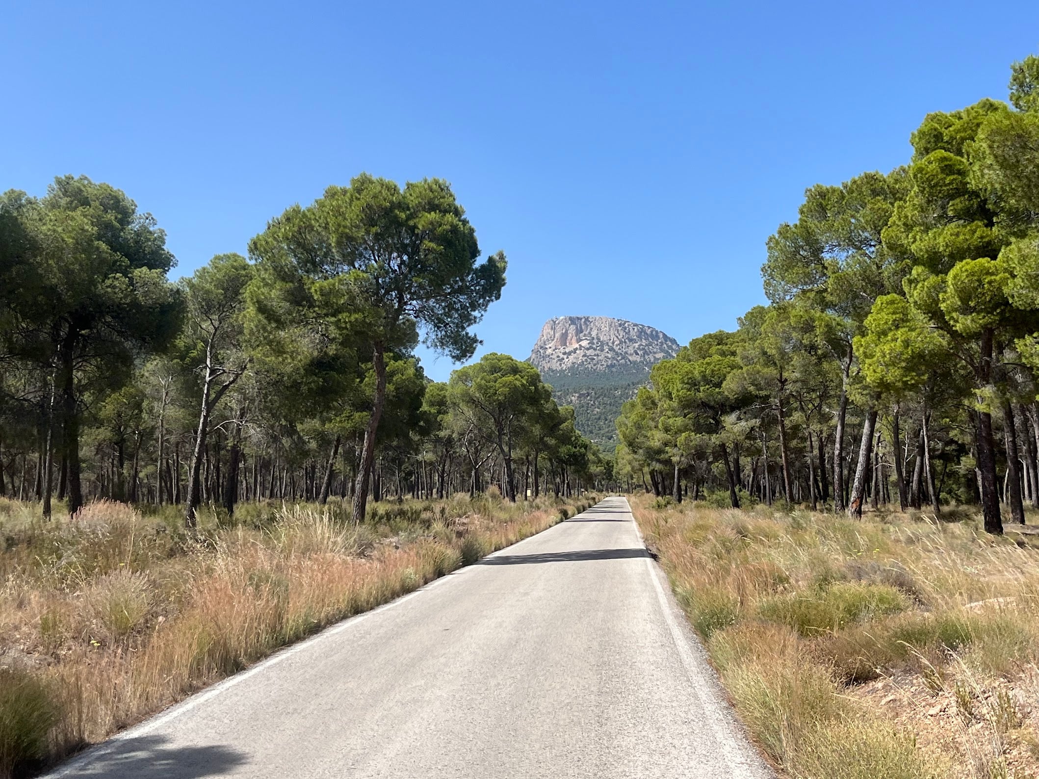 Collado Bermejo from Totana - Photo 8