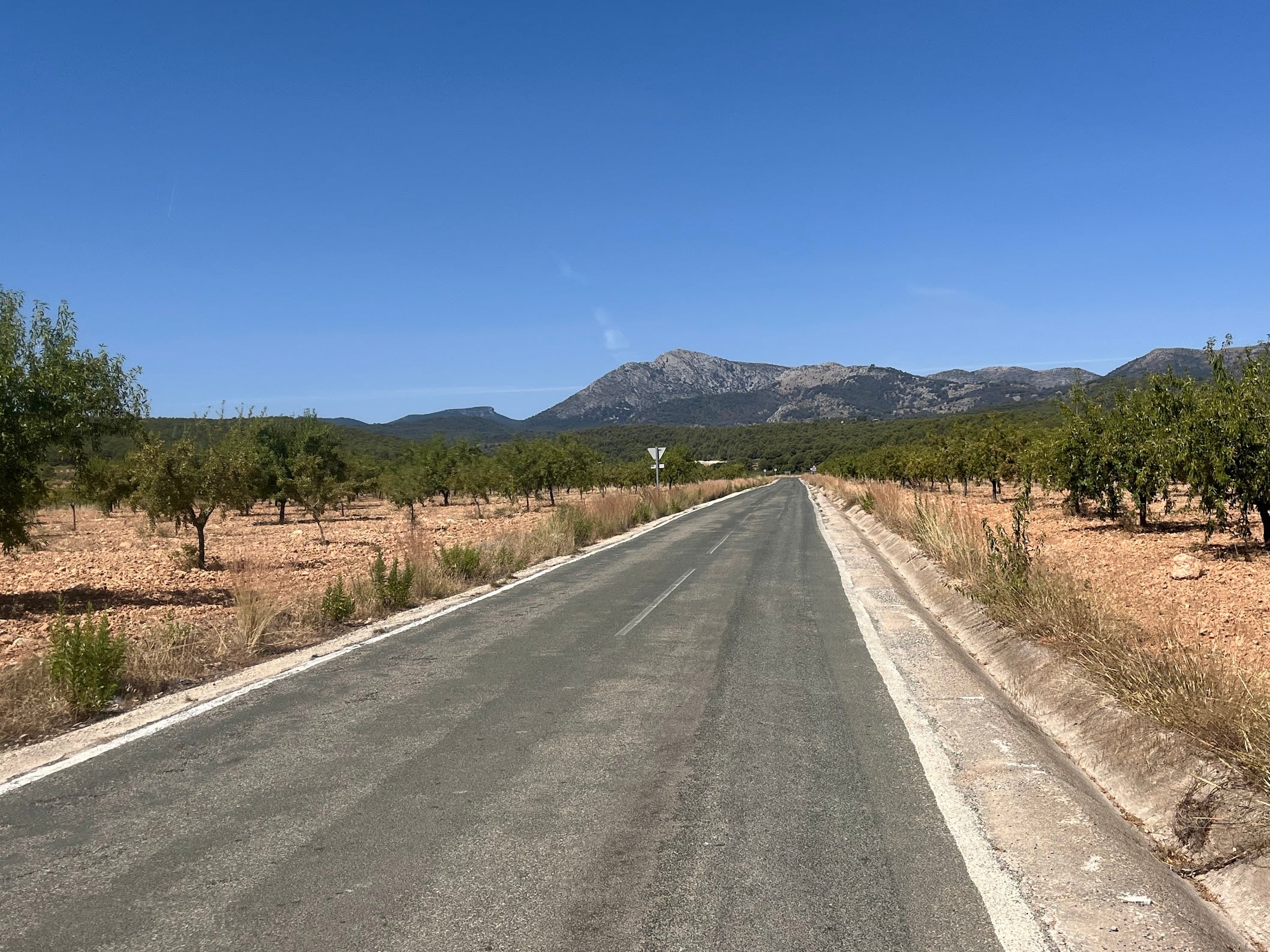 Collado Bermejo from Totana - Photo 2