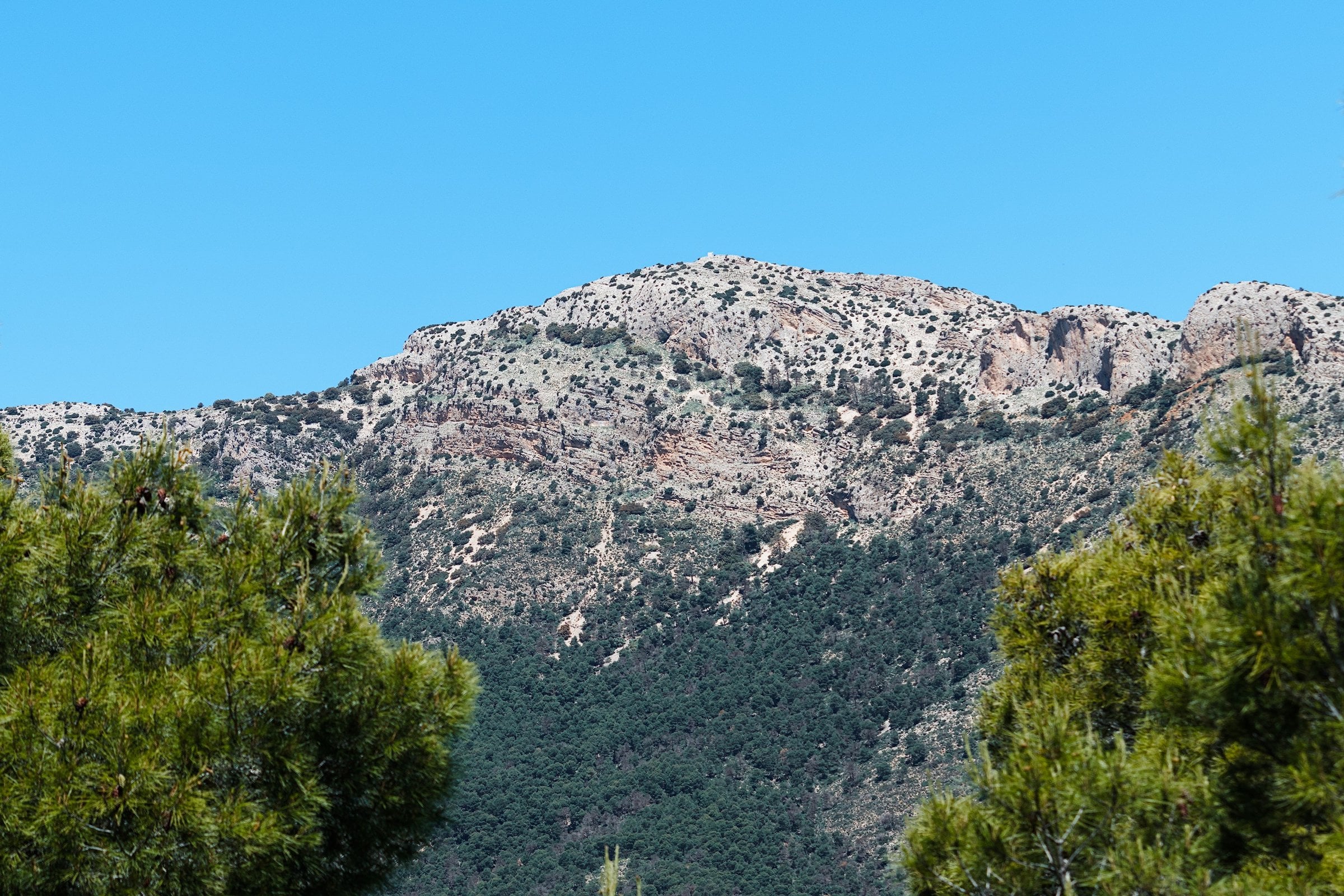 Sierra Espuña loop - Photo 1