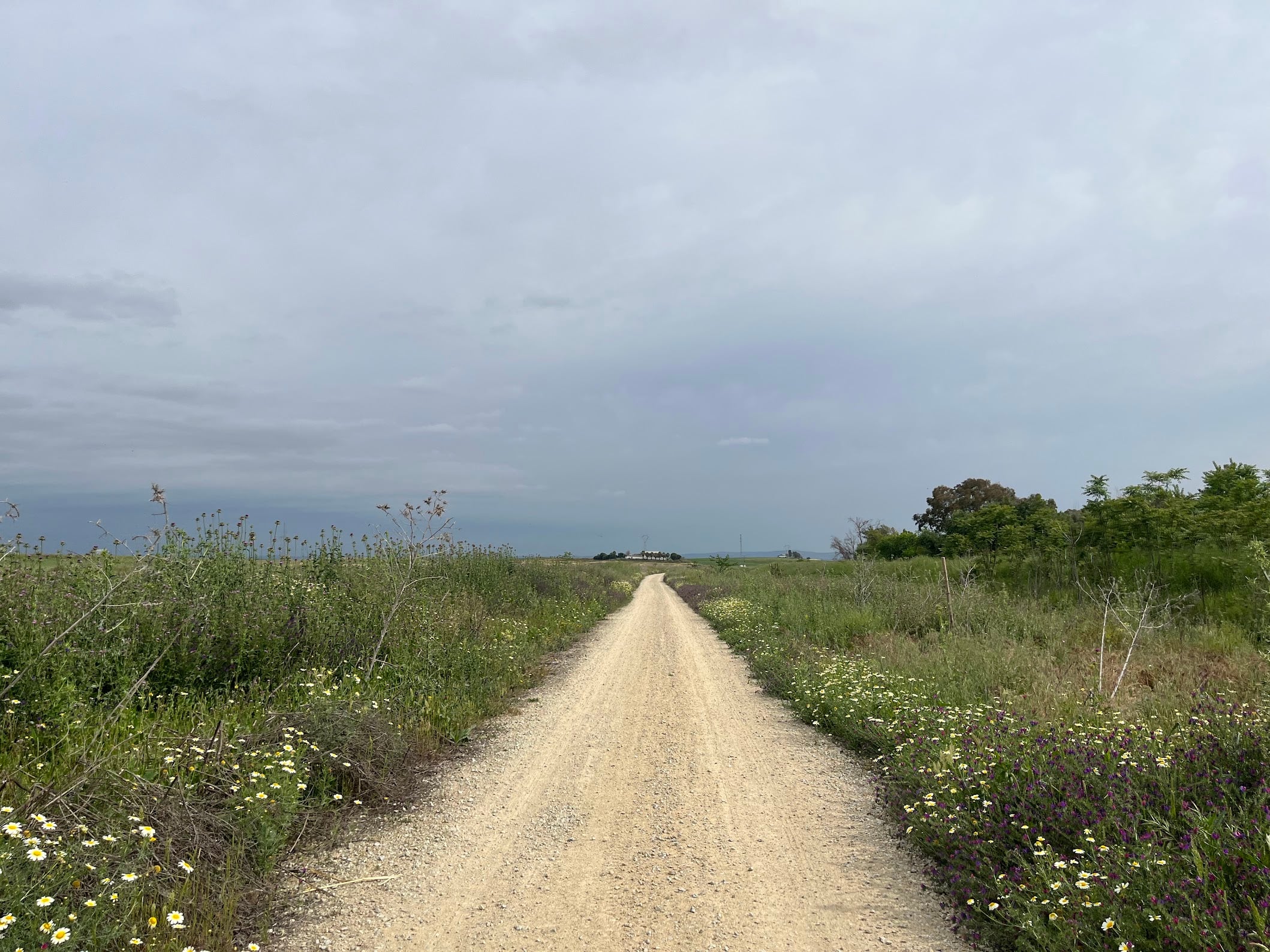 Vía de la Plata & Ruta del Agua gravel loop - Photo 1